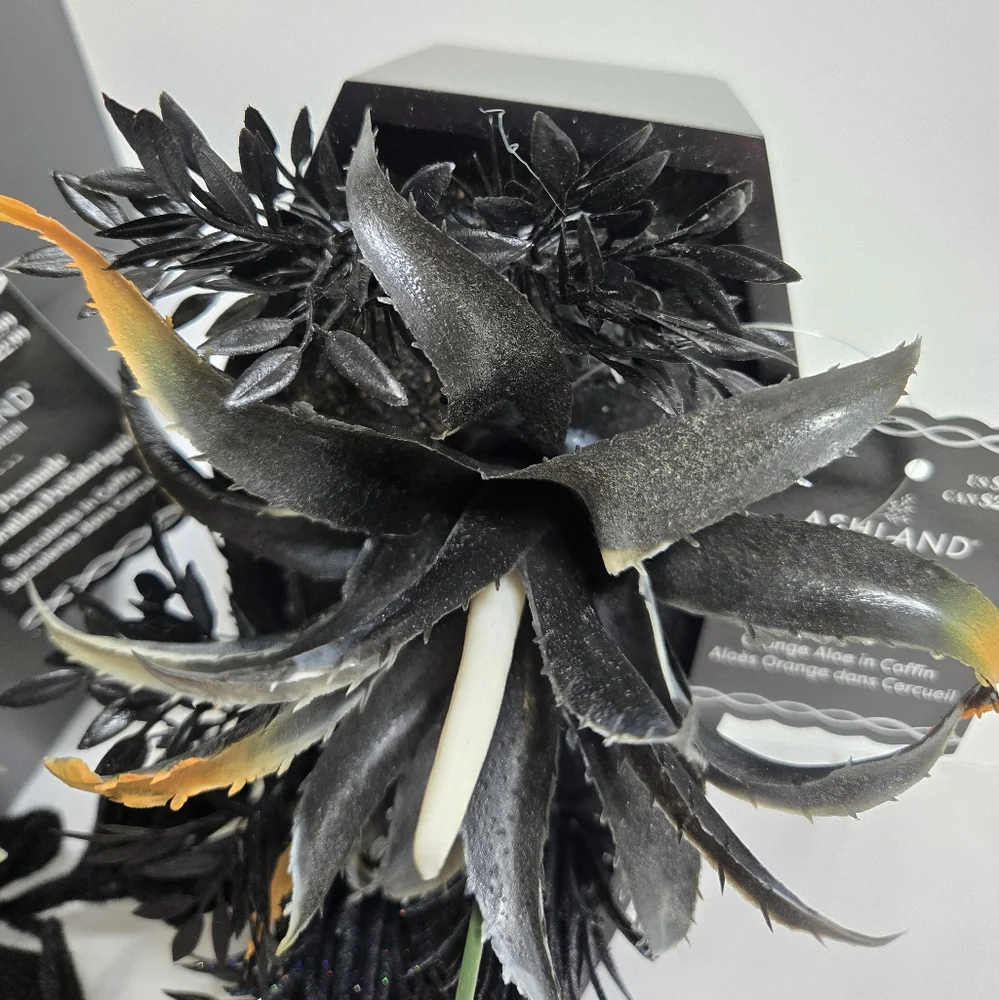 NEW Ashland Halloween premade goth succlents and flowers in‎ black coffin decor